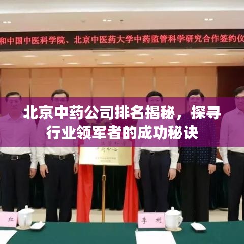 北京中药公司排名揭秘，探寻行业领军者的成功秘诀