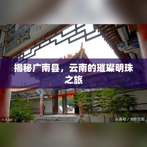 绝代佳人 第5页