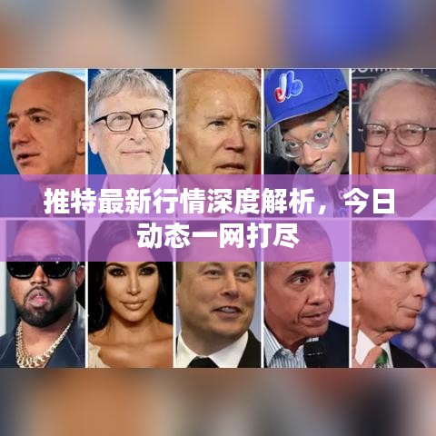 推特最新行情深度解析，今日动态一网打尽