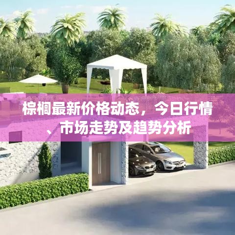 棕榈最新价格动态,今日行情、市场走势及趋势分析
