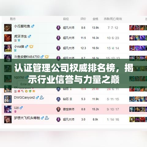 认证管理公司权威排名榜,揭示行业信誉与力量之巅