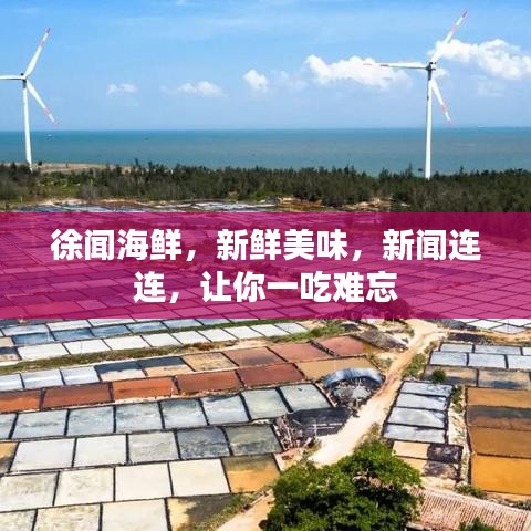 徐闻海鲜，新鲜美味，新闻连连，让你一吃难忘