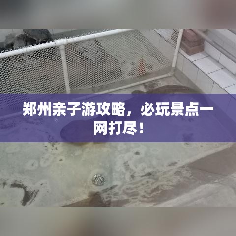 郑州亲子游攻略，必玩景点一网打尽！
