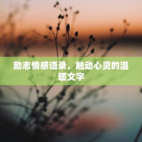 励志情感语录,触动心灵的温暖文字