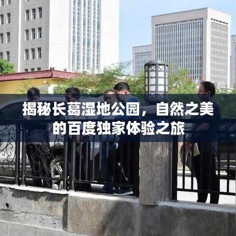 揭秘长葛湿地公园，自然之美的百度独家体验之旅