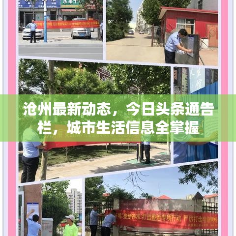沧州最新动态，今日头条通告栏，城市生活信息全掌握