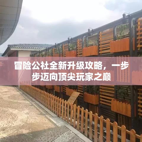 冒险公社全新升级攻略，一步步迈向顶尖玩家之巅