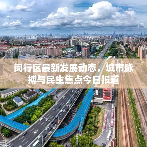 闵行区最新发展动态，城市脉搏与民生焦点今日报道