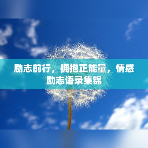 励志前行，拥抱正能量，情感励志语录集锦