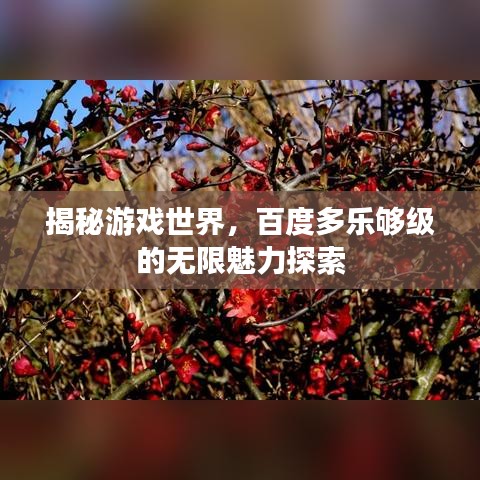 揭秘游戏世界，百度多乐够级的无限魅力探索