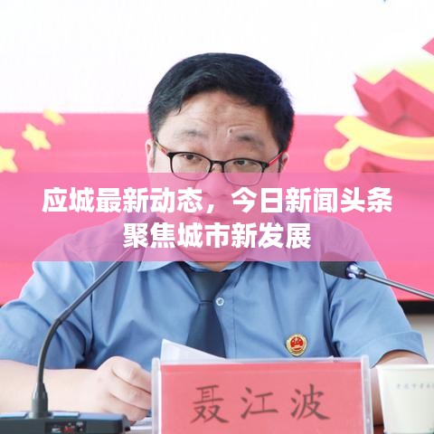 应城最新动态，今日新闻头条聚焦城市新发展
