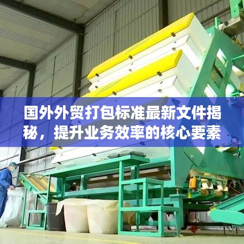 国外外贸打包标准最新文件揭秘，提升业务效率的核心要素指南