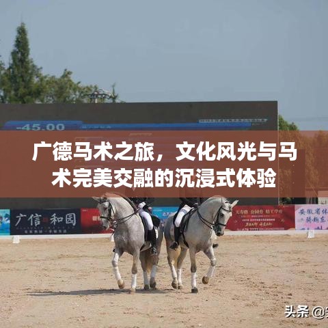 广德马术之旅，文化风光与马术完美交融的沉浸式体验
