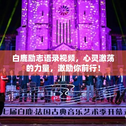 白鹿励志语录视频，心灵激荡的力量，激励你前行！