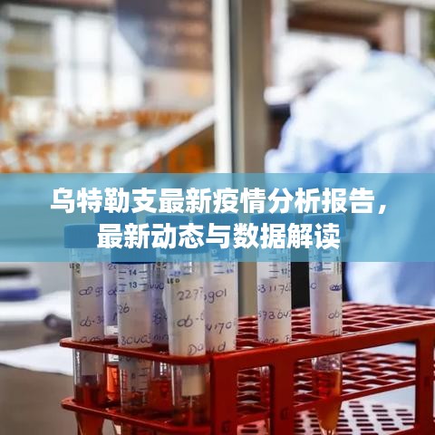乌特勒支最新疫情分析报告，最新动态与数据解读