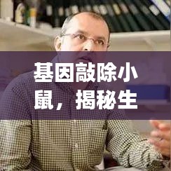 改弦易张 第5页