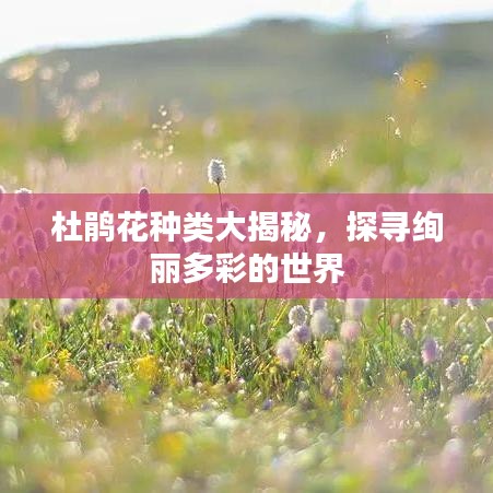 杜鹃花种类大揭秘，探寻绚丽多彩的世界