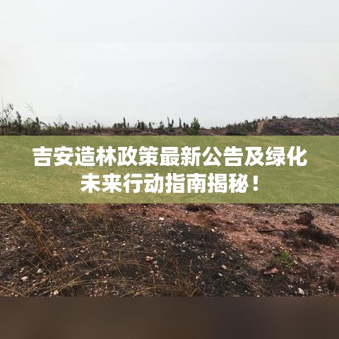 吉安造林政策最新公告及绿化未来行动指南揭秘！