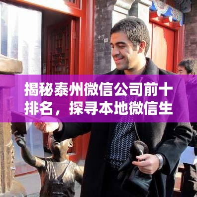 揭秘泰州微信公司前十排名，探寻本地微信生态繁荣之奥秘