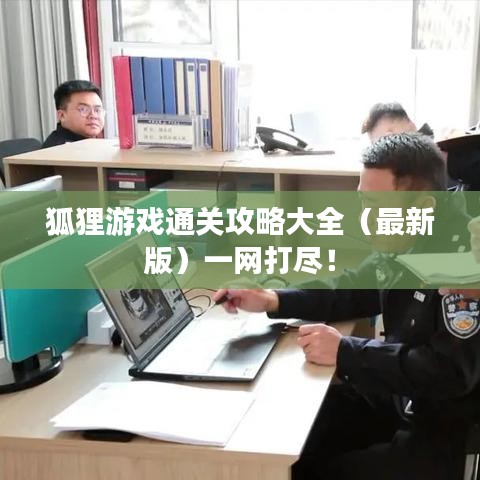 狐狸游戏通关攻略大全（最新版）一网打尽！