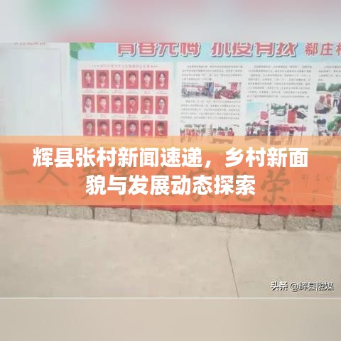 辉县张村新闻速递，乡村新面貌与发展动态探索