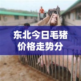 盖世英雄 第5页