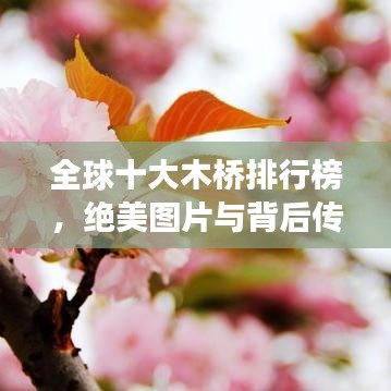 全球十大木桥排行榜，绝美图片与背后传奇故事揭秘