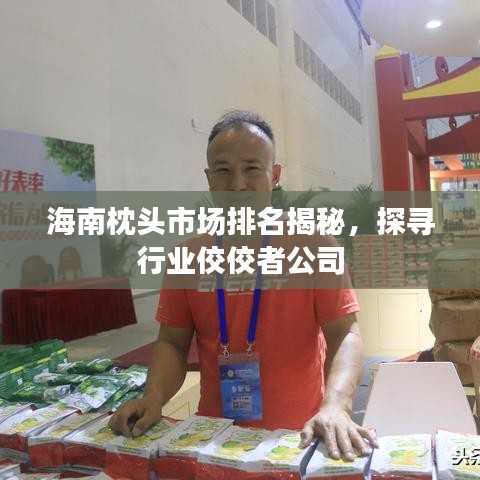 海南枕头市场排名揭秘，探寻行业佼佼者公司