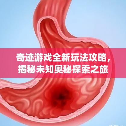 奇迹游戏全新玩法攻略，揭秘未知奥秘探索之旅