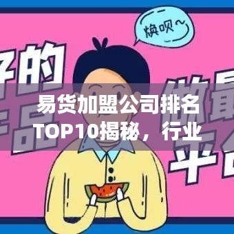 易货加盟公司排名TOP10揭秘，行业领军者的成功奥秘探索