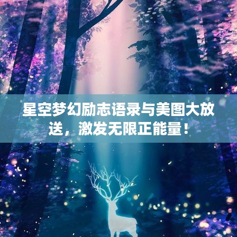 星空梦幻励志语录与美图大放送，激发无限正能量！
