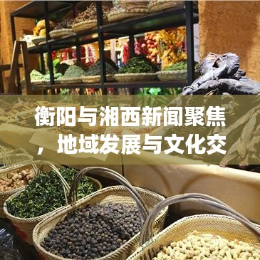 衡阳与湘西新闻聚焦，地域发展与文化交融引领时代潮流