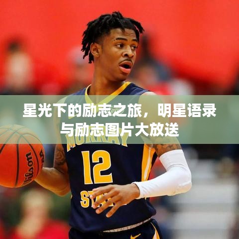 星光下的励志之旅，明星语录与励志图片大放送