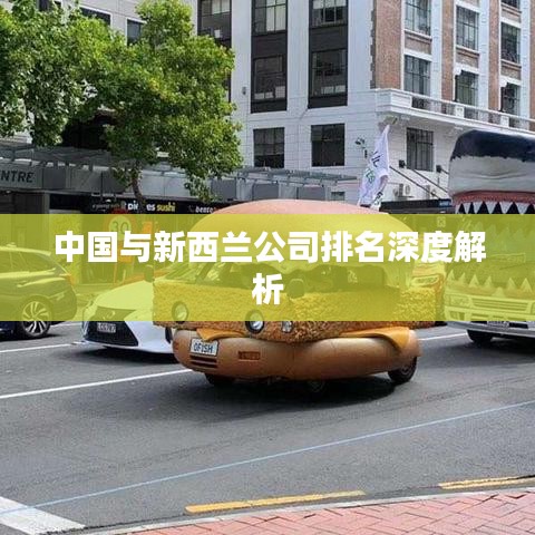 中国与新西兰公司排名深度解析