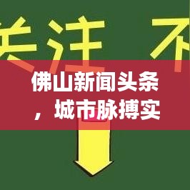 佛山新闻头条，城市脉搏实时掌握，热点资讯一手传递