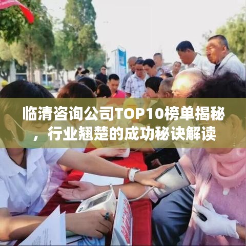 临清咨询公司TOP10榜单揭秘，行业翘楚的成功秘诀解读
