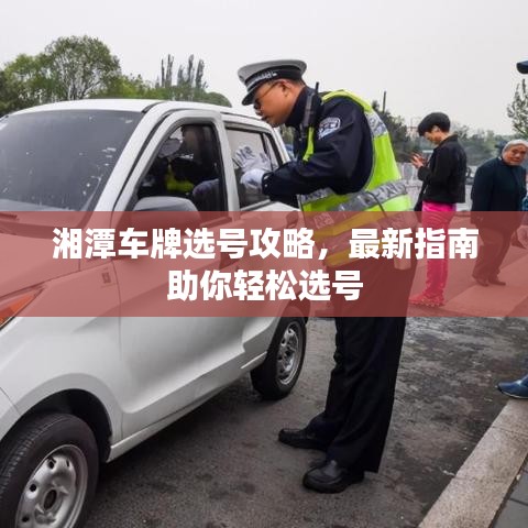 湘潭车牌选号攻略，最新指南助你轻松选号