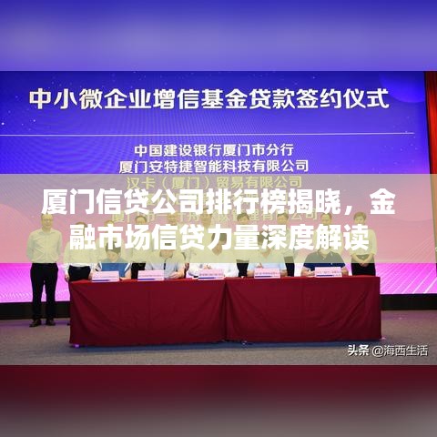 厦门信贷公司排行榜揭晓，金融市场信贷力量深度解读