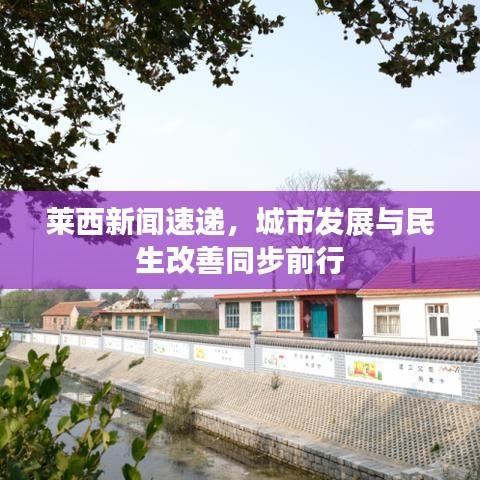 莱西新闻速递，城市发展与民生改善同步前行