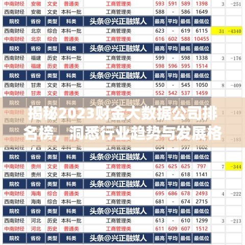 揭秘2023财金大数据公司排名榜，洞悉行业趋势与发展格局