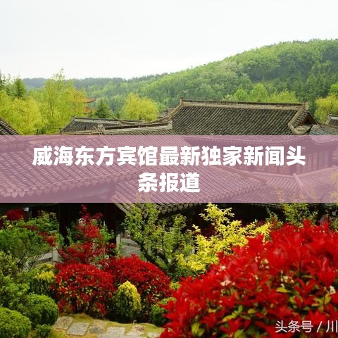 威海东方宾馆最新独家新闻头条报道