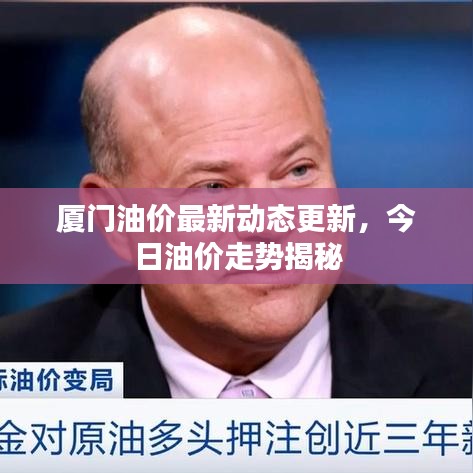 厦门油价最新动态更新，今日油价走势揭秘