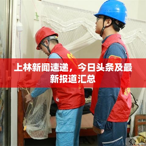 上林新闻速递，今日头条及最新报道汇总