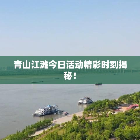 青山江滩今日活动精彩时刻揭秘!