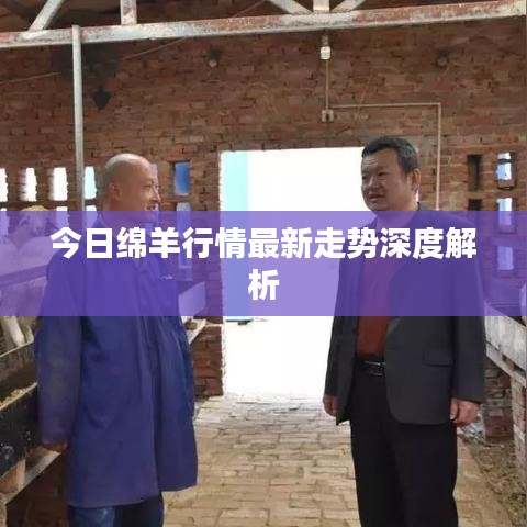 今日绵羊行情最新走势深度解析