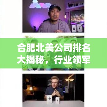 合肥北美公司排名大揭秘，行业领军者的成功秘诀探寻！