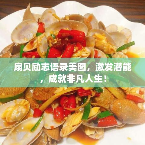 扇贝励志语录美图，激发潜能，成就非凡人生！