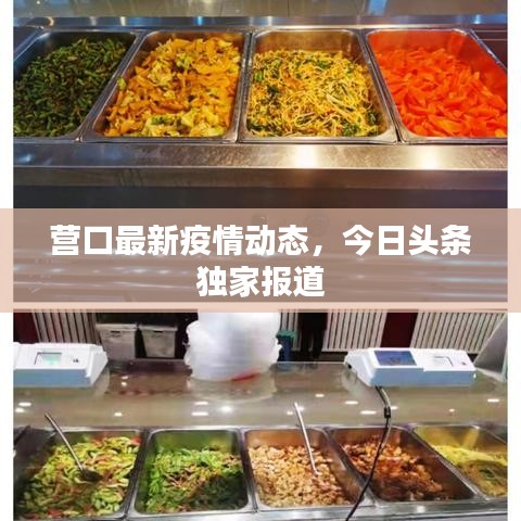 营口最新疫情动态，今日头条独家报道