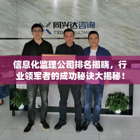 信息化监理公司排名揭晓，行业领军者的成功秘诀大揭秘！