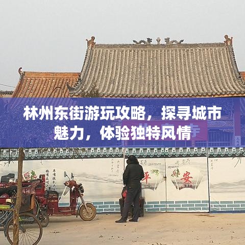 林州东街游玩攻略,探寻城市魅力,体验独特风情